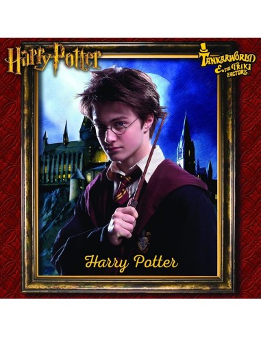 Harry Potter - Muñeco de la colección de Harry Potter - 30 cm