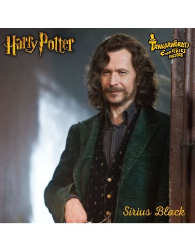 Sirius Black - Muñeco de la colección de Harry Potter - Mattel - 30 cm
