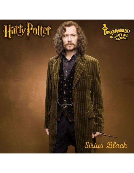 Sirius Black - Muñeco de la colección de Harry Potter - Mattel - 30 cm