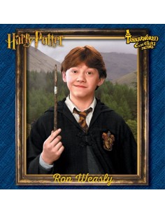 Ron Weasley - Muñeco de la colección de Harry Potter - Mattel - 30 cm 2