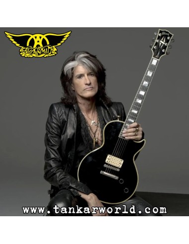 Funko Pop! - Joe Perry - Aerosmith - 173