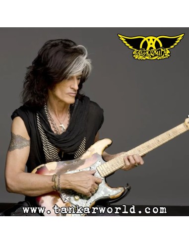 Funko Pop! - Joe Perry - Aerosmith - 173