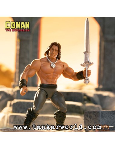 Conan el Bárbaro 1982 Figura Vintage Collection Wave 1 Conan 14 cm