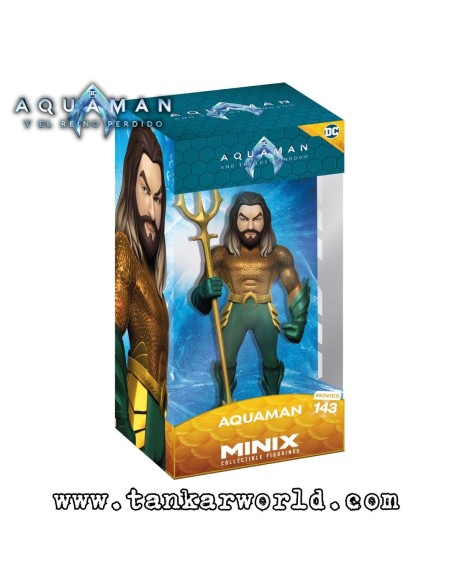 Aquaman - Aquaman and The Lost Kingdom - Movies 143 - MINIX