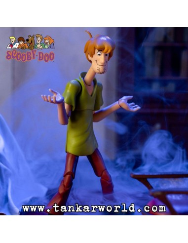 Scooby-Doo - Shaggy Figura articulada - 15 cm