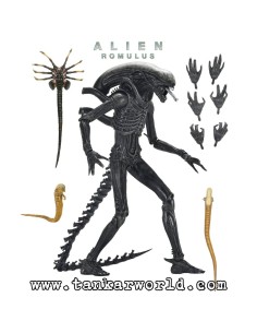 Alien: Romulus - Figura Ultimate Xenomorph XX121 - 18 cm - NECA 2