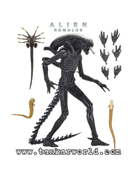 Alien: Romulus - Figura Ultimate Xenomorph XX121 - 18 cm - NECA
