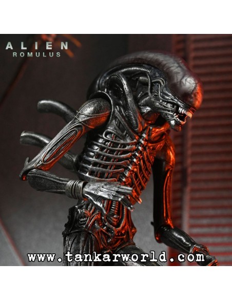 Alien: Romulus - Figura Ultimate Xenomorph XX121 - 18 cm - NECA
