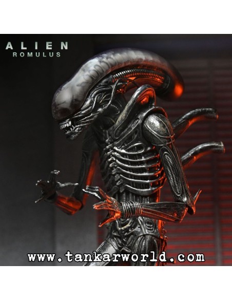 Alien: Romulus - Figura Ultimate Xenomorph XX121 - 18 cm - NECA