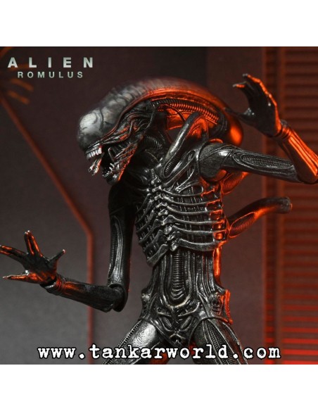 Alien: Romulus - Figura Ultimate Xenomorph XX121 - 18 cm - NECA