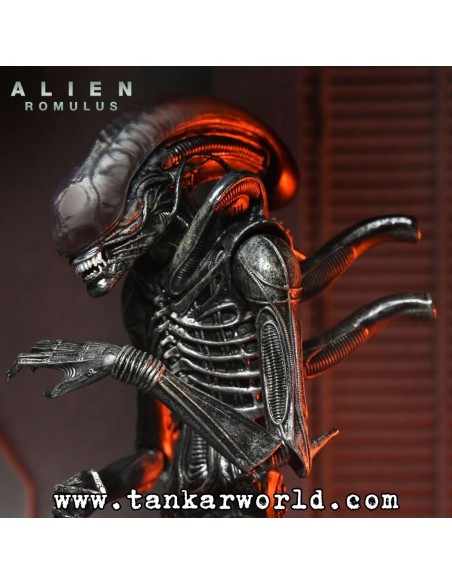 Alien: Romulus - Figura Ultimate Xenomorph XX121 - 18 cm - NECA