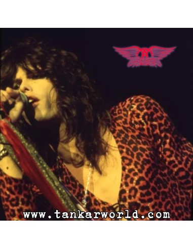 Funko Pop! - Steven Tyler con traje de leopardo - Aerosmith - 475 - Exclusive Edition