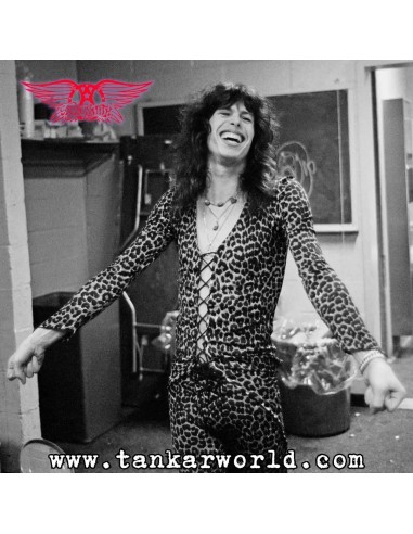 Funko Pop! - Steven Tyler con traje de leopardo - Aerosmith - 475 - Exclusive Edition