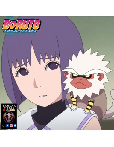 Funko Pop! - Sumire with Nue - Boruto - 1360
