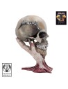Metallica - Sad But True - Estatua calavera izquierda