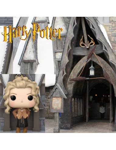 Funko Pop! - Madam Rosmerta with the three broomsticks - Harry Potter - Chamber Of Secrets - Anniversary Pop! Deluxe - 157