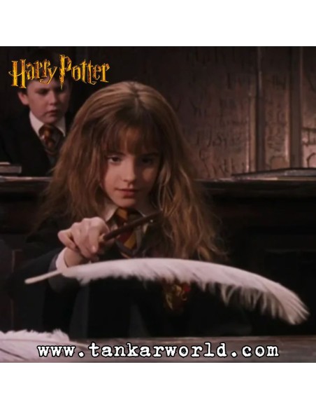 Funko Pop! - Hermione Granger wingardium leviosa - Harry Potter - 113