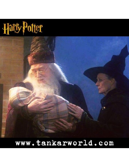 Funko Pop! - Albus Dumbledore with Harry baby - Harry Potter - 115