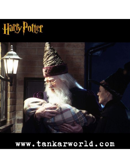 Funko Pop! - Albus Dumbledore with Harry baby - Harry Potter - 115