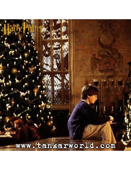 Funko Pop! - Harry Potter Holidays - Harry Potter - 122