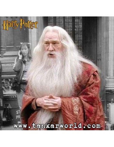 Funko Pop! - Albus Dumbledore Holidays with present - Harry Potter - 122