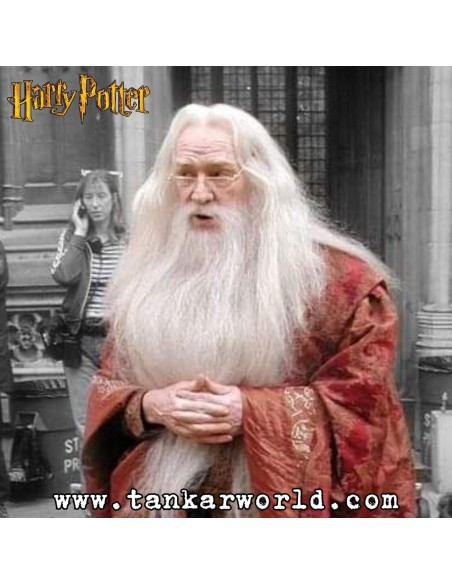 Funko Pop! - Albus Dumbledore Holidays with present - Harry Potter - 122