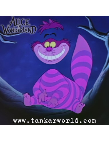 Funko Pop! - Chesire Cat - Alice In Wonderland - Disney - SE - Make a Wish