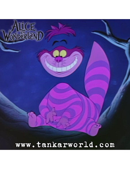 Funko Pop! - Chesire Cat - Alice In Wonderland - Disney - SE - Make a Wish