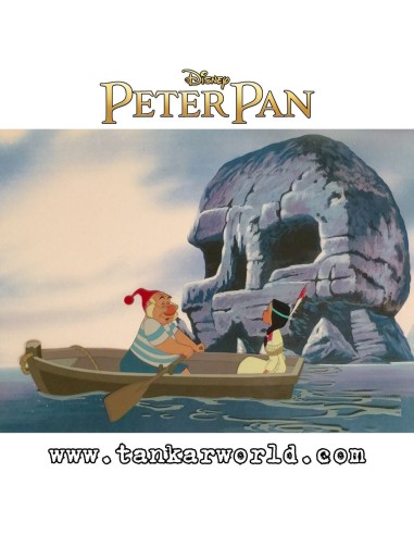 Funko Pop! - Smee with Skull Rock - Peter Pan - Disney Classics - Pop! Town 32