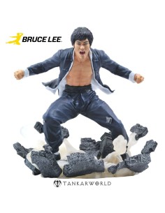 Bruce Lee - Diorama Gallery Earth - Estatua PVC 25 cm