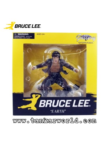 Bruce Lee - Diorama Gallery Earth - Estatua PVC 25 cm