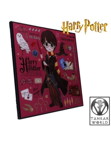 Harry Potter - Cuadro de cristal - 32 x 32 cm