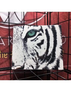 Dinamight Project - Animals - CD Digipack