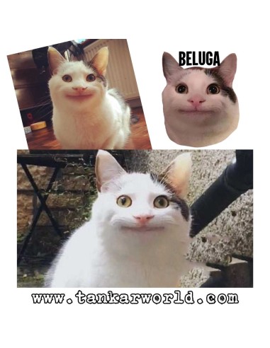 Beluga Cat - Peluche - Youtooz - 30 cm