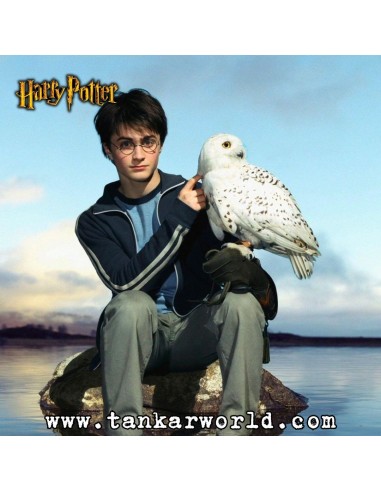 Funko Pop! - Hedwig  - Harry Potter - 76