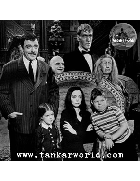 Funko Pop! - Morticia Addams - The Addams Family - 1550